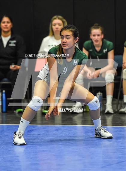 Thumbnail 3 in Campolindo vs. Harker (NDB Tiger Cup) photogallery.
