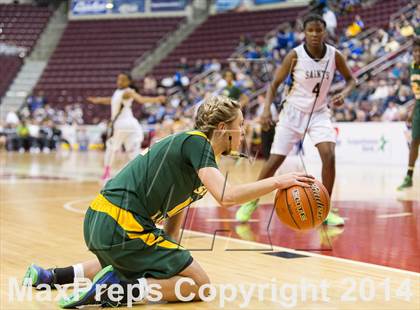 Thumbnail 3 in Neumann-Goretti vs. Seton LaSalle (PIAA Class AA Final) photogallery.