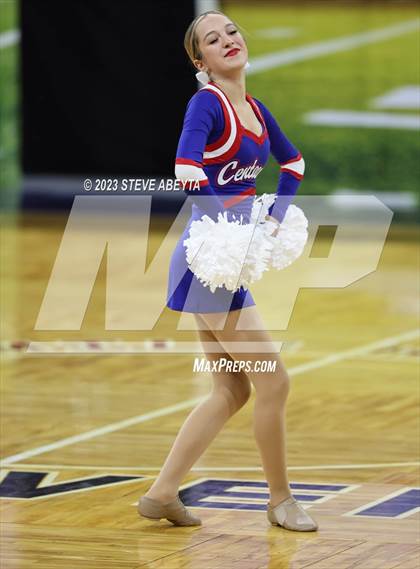 Thumbnail 2 in Centaurus CHSAA Spirit Poms photogallery.