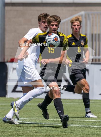 Thumbnail 2 in Wasatch vs. Skyline (UHSAA 5A Semifinal) photogallery.
