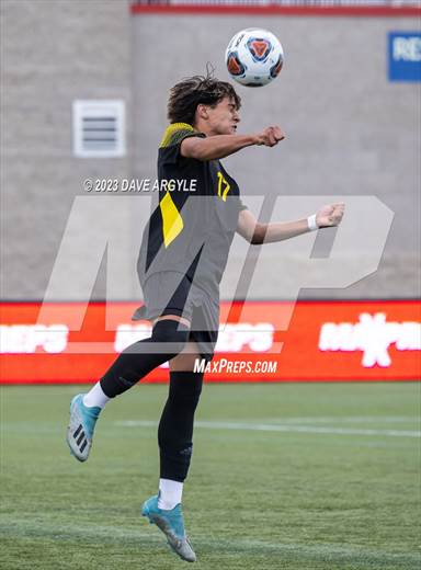 null - Photo 11