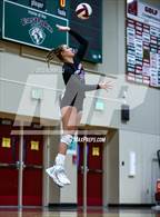 Photo from the gallery "North Creek @ Eastlake"