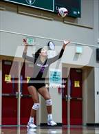 Photo from the gallery "North Creek @ Eastlake"