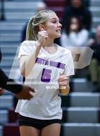 Photo from the gallery "North Creek @ Eastlake"