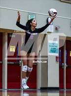 Photo from the gallery "North Creek @ Eastlake"