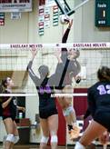 Photo from the gallery "North Creek @ Eastlake"