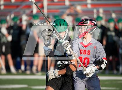 Thumbnail 2 in Tampa Catholic @ Carrollwood Day photogallery.