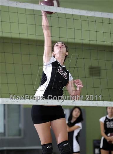 null - Photo 31