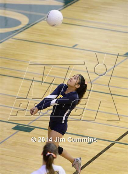 Thumbnail 1 in Leyden @ Elk Grove photogallery.