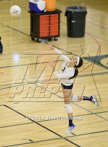 Thumbnail 3 in Leyden @ Elk Grove photogallery.