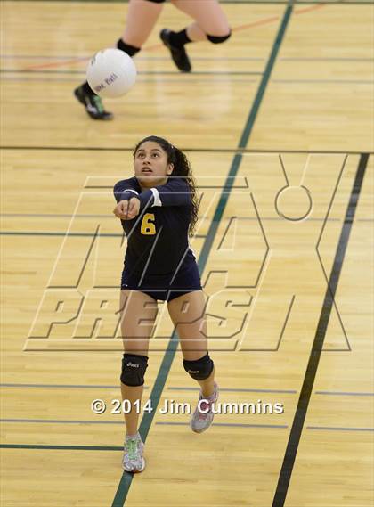 Thumbnail 3 in Leyden @ Elk Grove photogallery.