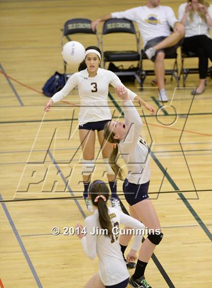 Thumbnail 1 in Leyden @ Elk Grove photogallery.