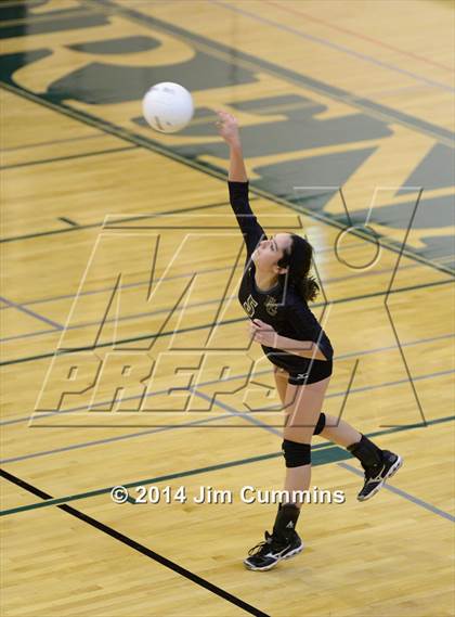 Thumbnail 3 in Leyden @ Elk Grove photogallery.