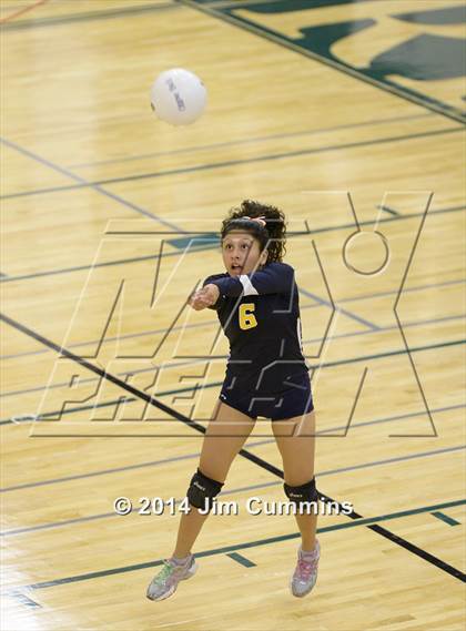 Thumbnail 1 in Leyden @ Elk Grove photogallery.