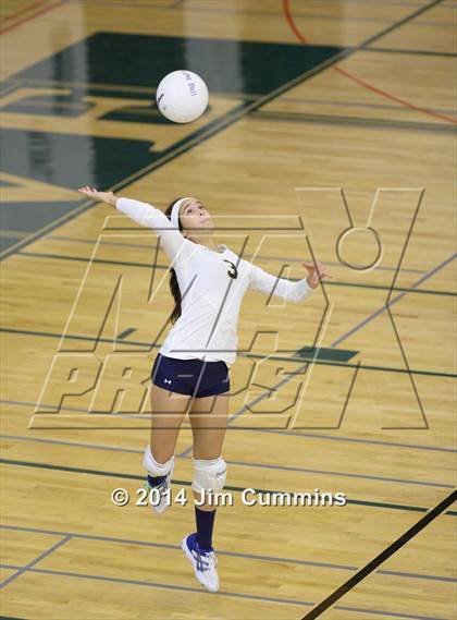 Thumbnail 3 in Leyden @ Elk Grove photogallery.