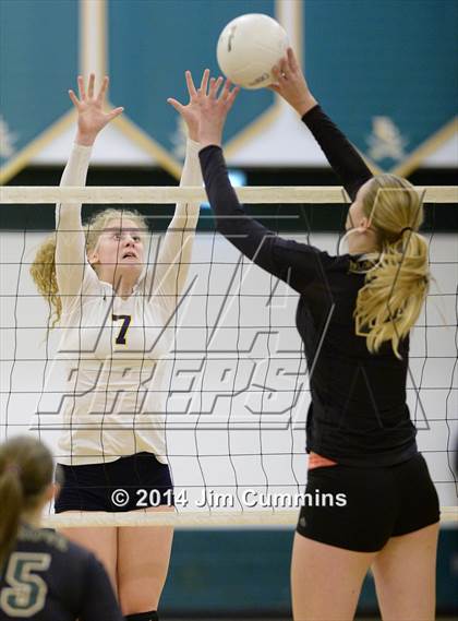 Thumbnail 1 in Leyden @ Elk Grove photogallery.