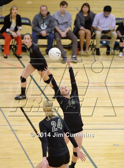 Thumbnail 1 in Leyden @ Elk Grove photogallery.