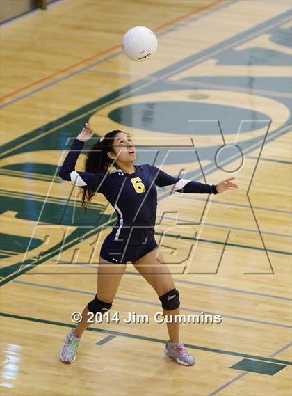 Thumbnail 3 in Leyden @ Elk Grove photogallery.