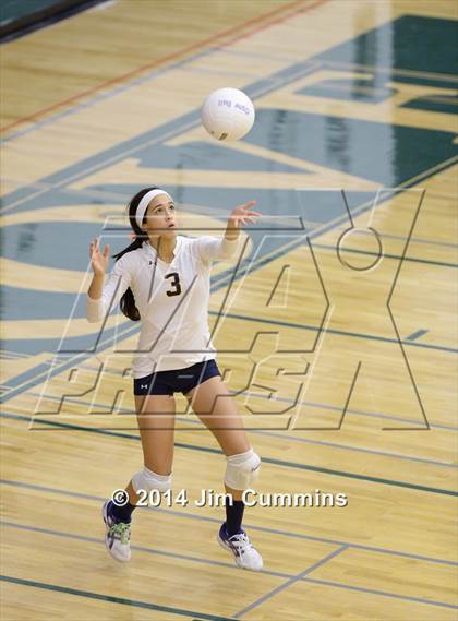 Thumbnail 3 in Leyden @ Elk Grove photogallery.
