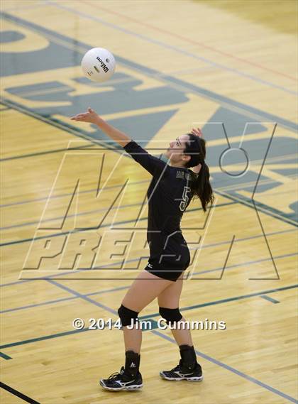 Thumbnail 2 in Leyden @ Elk Grove photogallery.