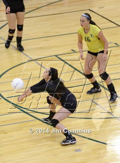 Thumbnail 1 in Leyden @ Elk Grove photogallery.