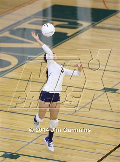 Thumbnail 1 in Leyden @ Elk Grove photogallery.