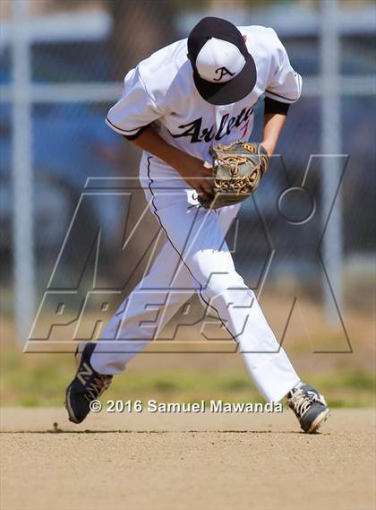 Thumbnail 2 in Poly @ Arleta photogallery.