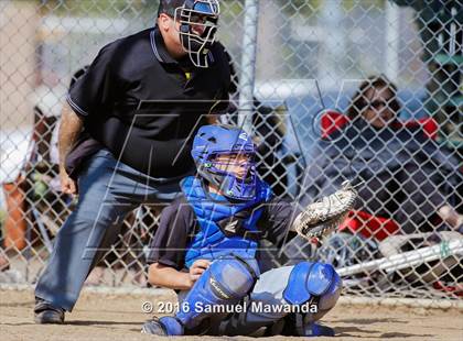 Thumbnail 2 in Poly @ Arleta photogallery.