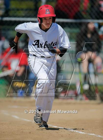 Thumbnail 1 in Poly @ Arleta photogallery.