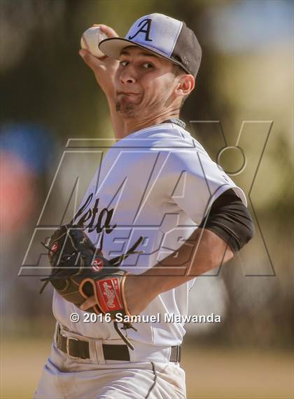 Thumbnail 1 in Poly @ Arleta photogallery.