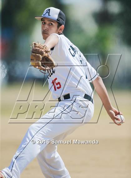 Thumbnail 1 in Poly @ Arleta photogallery.