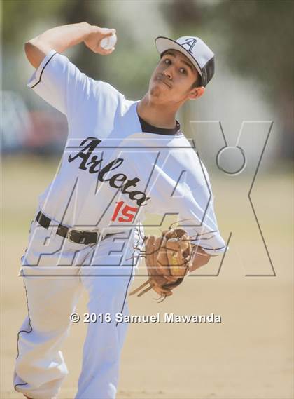 Thumbnail 3 in Poly @ Arleta photogallery.
