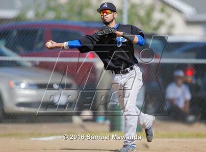 Thumbnail 2 in Poly @ Arleta photogallery.