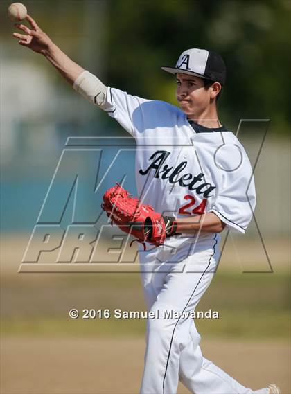 Thumbnail 2 in Poly @ Arleta photogallery.