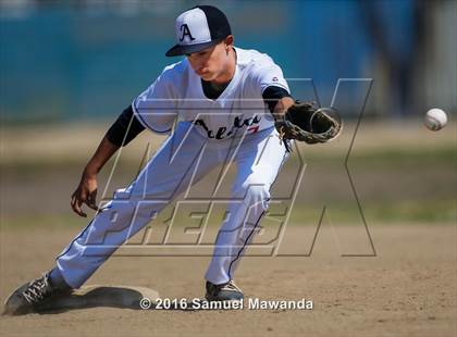 Thumbnail 1 in Poly @ Arleta photogallery.