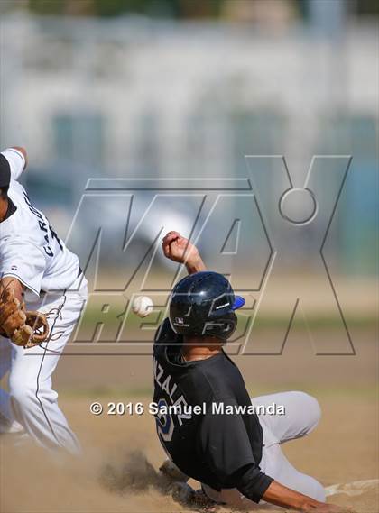 Thumbnail 1 in Poly @ Arleta photogallery.