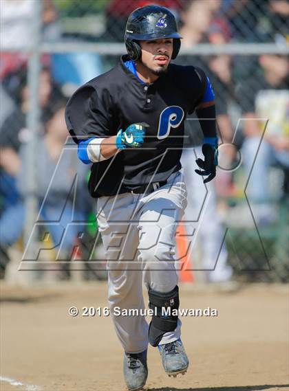 Thumbnail 2 in Poly @ Arleta photogallery.
