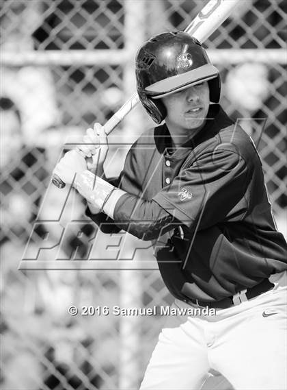 Thumbnail 1 in Poly @ Arleta photogallery.