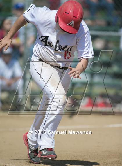 Thumbnail 1 in Poly @ Arleta photogallery.