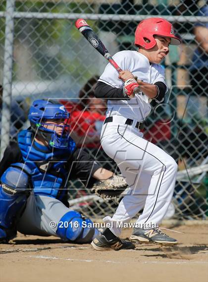 Thumbnail 3 in Poly @ Arleta photogallery.