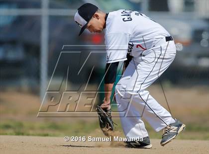 Thumbnail 2 in Poly @ Arleta photogallery.