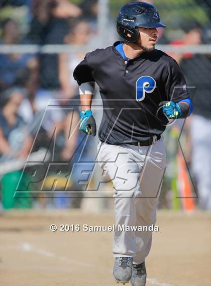 Thumbnail 1 in Poly @ Arleta photogallery.