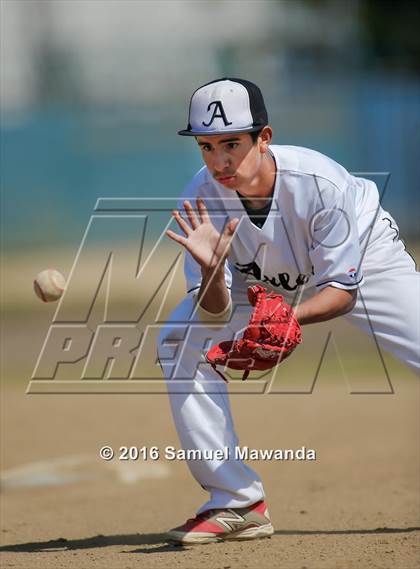 Thumbnail 3 in Poly @ Arleta photogallery.