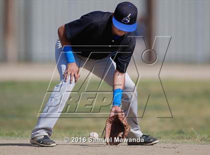 Thumbnail 1 in Poly @ Arleta photogallery.