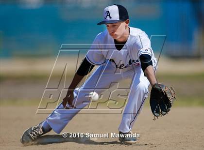Thumbnail 3 in Poly @ Arleta photogallery.