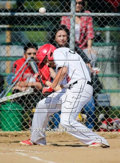 Thumbnail 2 in Poly @ Arleta photogallery.