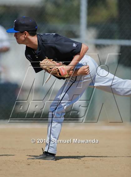 Thumbnail 1 in Poly @ Arleta photogallery.
