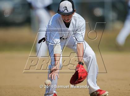 Thumbnail 2 in Poly @ Arleta photogallery.
