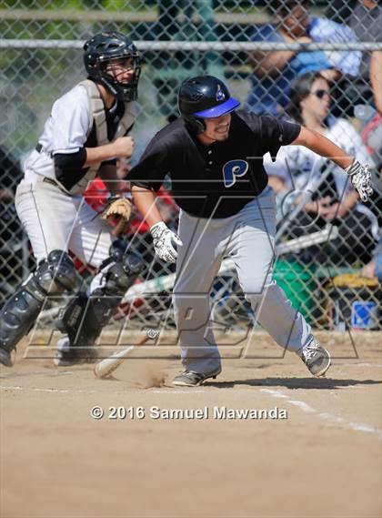 Thumbnail 3 in Poly @ Arleta photogallery.
