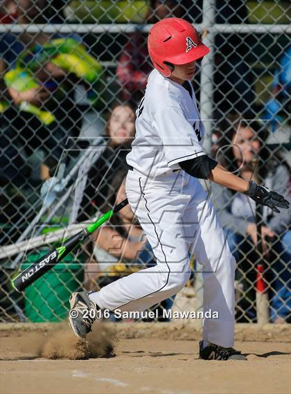 Thumbnail 1 in Poly @ Arleta photogallery.